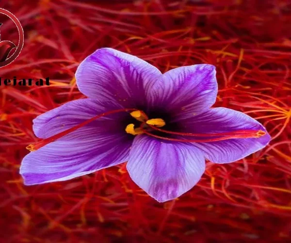 زعفران سوپر نگین