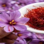 چرا زعفران ایران بهترین زعفران جهان است؟