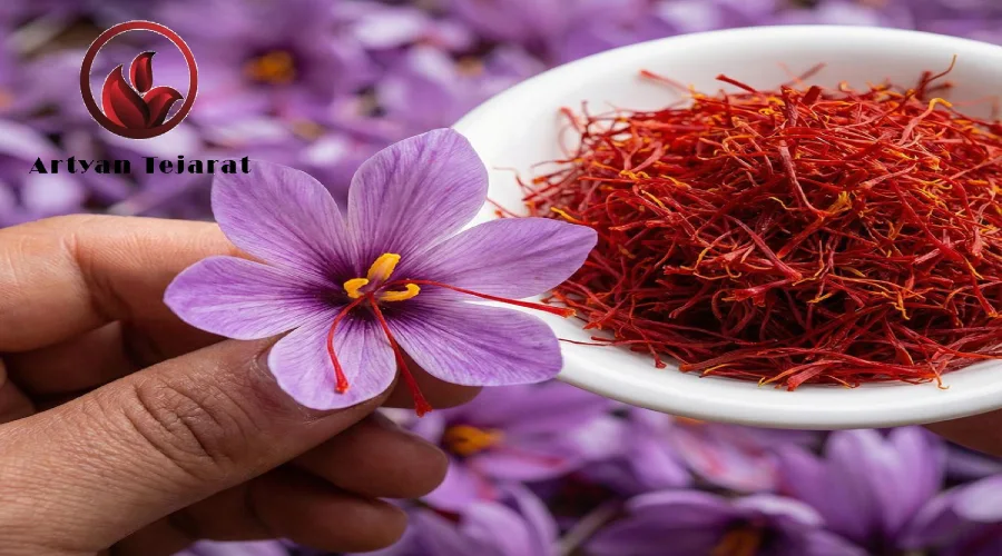 چرا زعفران ایران بهترین زعفران جهان است؟