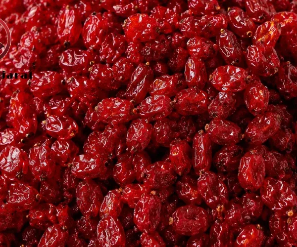 زرشک تالاری